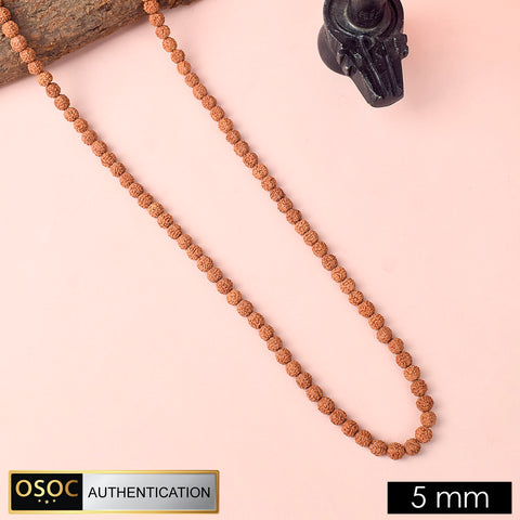 108 Beads Pathariya Rudraksh Mala for Japa and Spiritual Protection. Indiaβs Premium Rudraksha Jap Mala Store- www.satvikstore.in