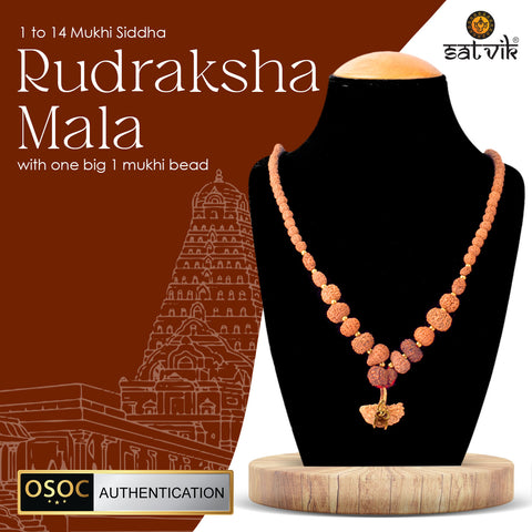 1β14 Mukhi Siddh Rudraksha Mala with One Large 1 Mukhi Bead β OSOC Certified Original Beads for Spiritual Power and Divine Blessings. Indiaβs Largest Pooja Accessories Brand - www.satvikstore.in