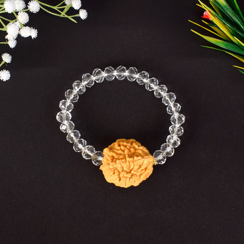 2 Mukhi Rudraksha Bracelet with Sphatik Crystal Beads for Spiritual Healing. Indiaβs Largest Pooja Accessories Brand - www.satvikstore.in