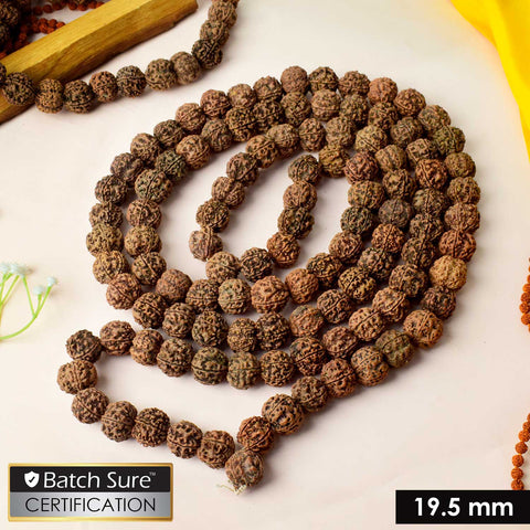 5 Mukhi Special Kantha Rudraksha mala featuring premium five-faced Rudraksha beads, designed for spiritual balance, meditation, and holistic healing. Indiaβs Premium Jap Mala Store - www.satvikstore.in