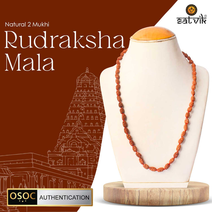 Original 2 Mukhi Rudraksha Mala – 108 Beads for Relationship Harmony, Love & Emotional Balance. India’s Largest Pooja Accessories Brand - www.satvikstore.in