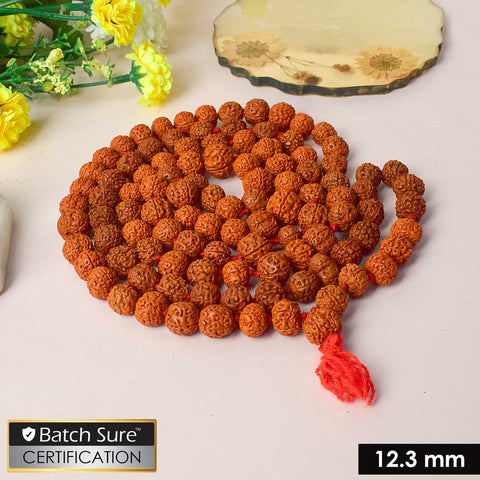 Certified 108 bead Rudraksha mala in dark brown color, used for japa and meditation. Indiaβs Premium Rudraksha Jap Mala Store- www.satvikstore.in