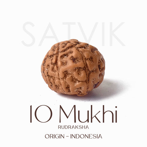 Certified 10 Mukhi brown Rudraksha bead from Indo origin placed on red cloth for spiritual protection, healing, and divine blessings. Indiaβs Largest Pooja Accessories Brand - www.satvikstore.in