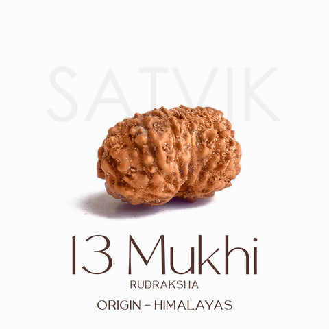 Certified 13 Mukhi Rudraksha bead in brown tone from Indo origin placed on red cloth, symbolizing charm, siddhi, and divine blessings of Venus and Kamadeva. Indiaβs Largest Pooja Accessories Brand - www.satvikstore.in