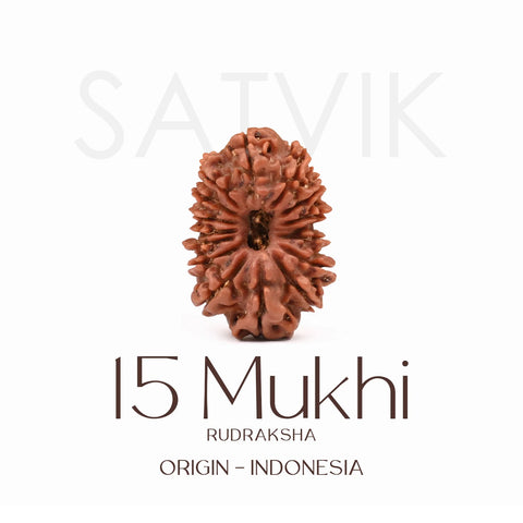Certified 15 Mukhi Rudraksha Bead from Indonesia β Sacred natural bead representing Lord Pashupatinath, known for emotional healing, love, and spiritual elevation. Indiaβs Largest Brass Idols Brand - www.satvikstore.in