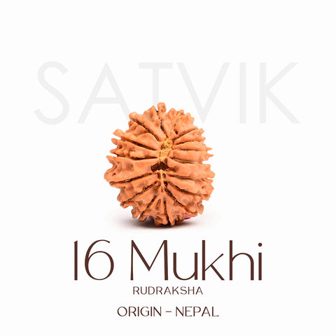 Certified 16 Mukhi Rudraksha Bead β Nepali origin spiritual bead symbolizing Lord Ram, offering powerful protection, courage, truthfulness, and relief from fear and negative forces. Indiaβs Largest Brass Idols Brand - www.satvikstore.in