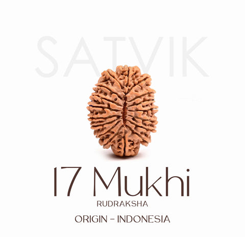 Certified 17 Mukhi Rudraksha Bead β Indonesia origin bead representing Goddess Katyayani, known for bringing prosperity, success, spiritual growth, and fulfillment of desires. Indiaβs Largest Brass Idols Brand - www.satvikstore.in