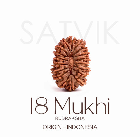 Certified 18 Mukhi Rudraksha Bead β Indonesia origin divine bead representing Goddess Bhumi Devi, known for enhancing stability, prosperity, and protection from negative energies.Indiaβs Largest Brass Idols Brand - www.satvikstore.in