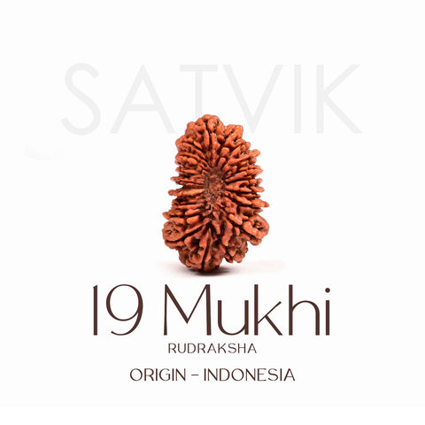 Certified 19 Mukhi Rudraksha Bead β Indonesian origin spiritual bead representing Lord Vishnu, known for abundance, success, and protection in all endeavors. Indiaβs Largest Brass Idols Brand - www.satvikworld.com