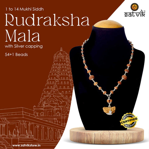 Certified 1 to 14 Face Rudraksha Mala with brown beads and silver capping, handcrafted with original Indonesian beads for divine protection and spiritual awakening. Indiaβs Premium Rudraksha Jap Mala Store- www.satvikstore .in