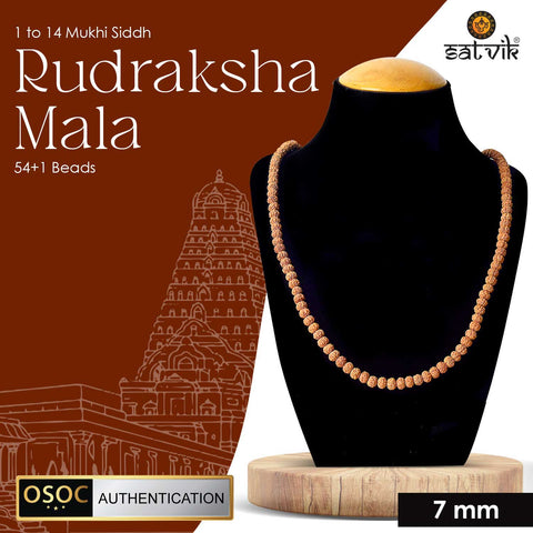 Certified 1 to 14 Mukhi Siddh Rudraksha Mala