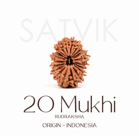 Certified 20 Mukhi Rudraksha Bead β Indonesia origin divine bead symbolizing Lord Brahma, enhances creativity, wisdom, and spiritual consciousness. Indiaβs Largest Brass Idols Brand - www.satvikstore.in