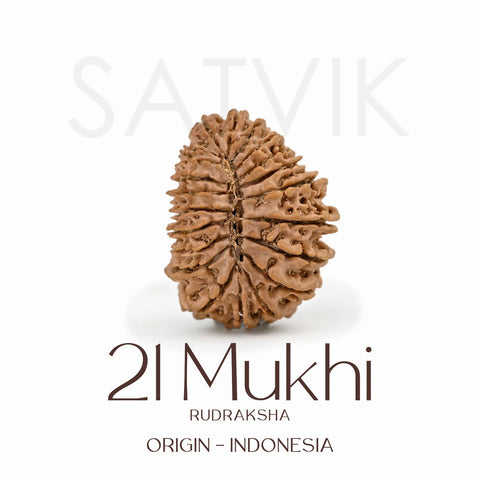 Certified 21 Mukhi Rudraksha Bead β Indonesia origin divine bead associated with Lord Kuber, symbolizing immense wealth, prosperity, and protection. Indiaβs Largest Brass Idols Brand - www.satvikstore.in
