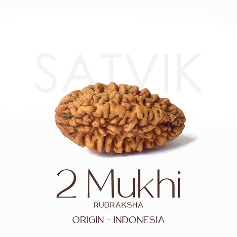 2 Mukhi Rudraksha Beads β Natural Certified Original Rudraksha for Spiritual Balance and Harmony. Indiaβs Largest Pooja Accessories Brand - www.satvikstore.in