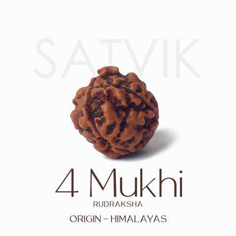 Certified 4 Mukhi natural brown Rudraksha bead placed on red cloth, representing wisdom, speech clarity, and blessings of Lord Brahma. Indiaβs Largest Pooja Accessories Brand - www.satvikstore.in