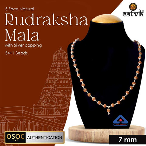 Certified 5 Mukhi Rudraksha Mala with 925 silver Capping
