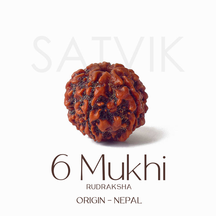 Certified 6 Mukhi brown Rudraksha bead placed on red fabric, symbolizing courage, focus, and inner discipline for spiritual and professional growth. India’s Largest Pooja Accessories Brand - www.satvikstore.in