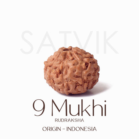 Certified 9 Mukhi brown Rudraksha bead from Indo origin placed on red cloth, representing divine strength, protection, and blessings of Goddess Durga. Indiaβs Largest Pooja Accessories Brand - www.satvikstore.in