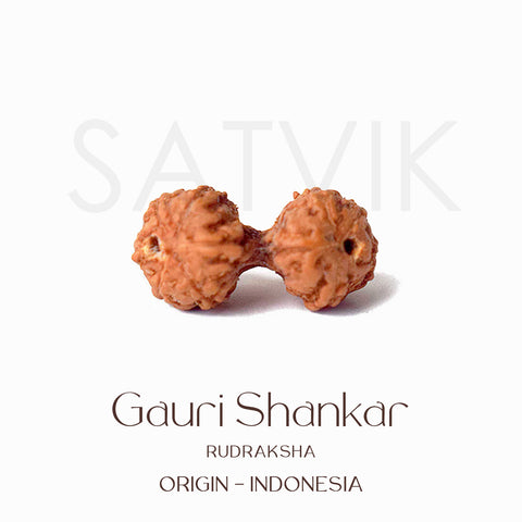 Certified Gauri Shankar Rudraksha bead in natural brown color from Indo origin placed on red cloth, symbolizing love, unity, and divine marital harmony. Indiaβs Largest Pooja Accessories Brand - www.satvikstore.in