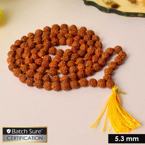 Certified Rudraksha mala made from brown Elaeocarpus ganitrus beads, ideal for spiritual practices and meditation. Indiaβs Premium Rudraksha Jap Mala Store- www.satvikstore.in