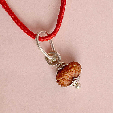 Certified 14 Mukhi Rudraksha Pendant with metal capping for spiritual strength and intuition. Indiaβs Premium Rudraksha Jap Mala Store- www.satvikstore.in