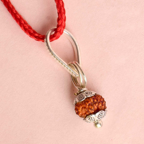 Certified 12 Mukhi Rudraksha Pendant with metal capping for confidence and energy. Indiaβs Premium Rudraksha Jap Mala Store- www.satvikstore.in