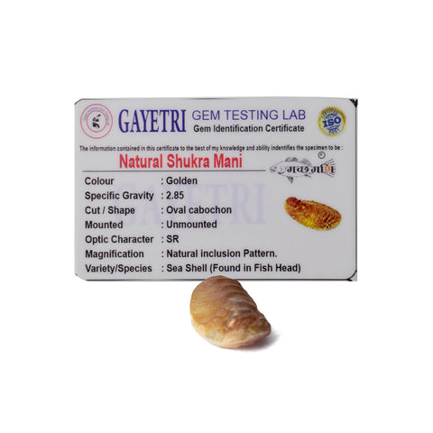 Golden Shukra Mani (Machh Mani) placed on a silver cloth with pooja items, used in rituals for Venus blessings, love, and prosperity. Indiaβs Largest Pooja Accessories Brand - www.satvikstore.in