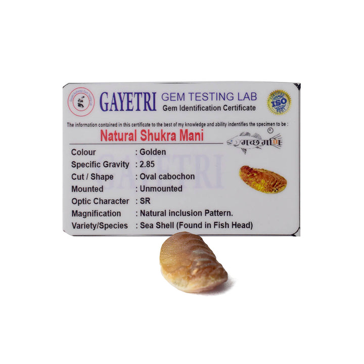 Golden Shukra Mani (Machh Mani) placed on a silver cloth with pooja items, used in rituals for Venus blessings, love, and prosperity. India’s Largest Pooja Accessories Brand - www.satvikstore.in