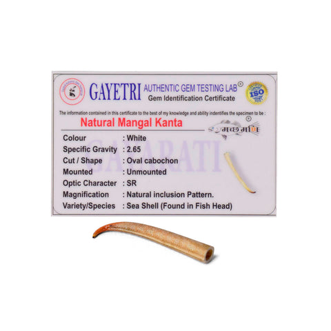 Polished small Mangal Mani stone (Mangal Kata) in reddish-brown color, placed on a brass pooja thali for astrological and spiritual rituals. Indiaβs Largest Pooja Accessories Brand - www.satvikstore.in