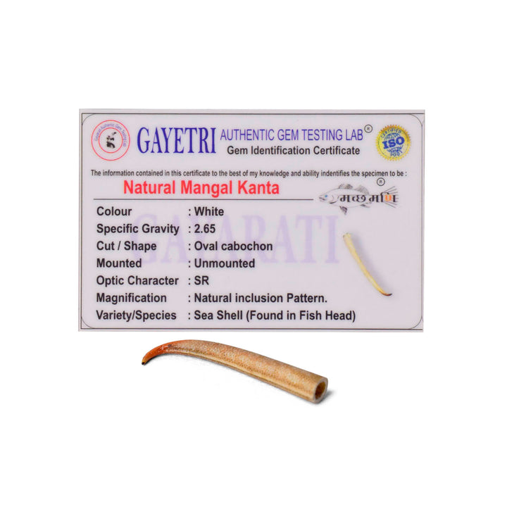 Polished small Mangal Mani stone (Mangal Kata) in reddish-brown color, placed on a brass pooja thali for astrological and spiritual rituals. India’s Largest Pooja Accessories Brand - www.satvikstore.in