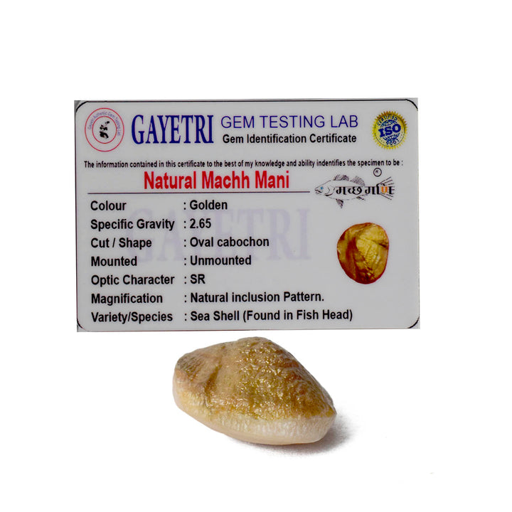 Natural golden Machh Mani spiritual stone in polished finish, placed on decorative altar setup for pooja and astrological remedies. India’s Largest Pooja Accessories Brand - www.satvikstore.in