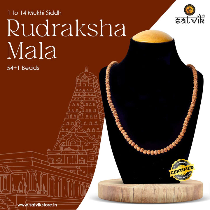 Certified 1 to 14 Mukhi Siddh Rudraksha Mala with brown beads and traditional capping – powerful spiritual necklace from Nepal. India’s Premium Rudraksha Jap Mala Store- www.satvikstore .in