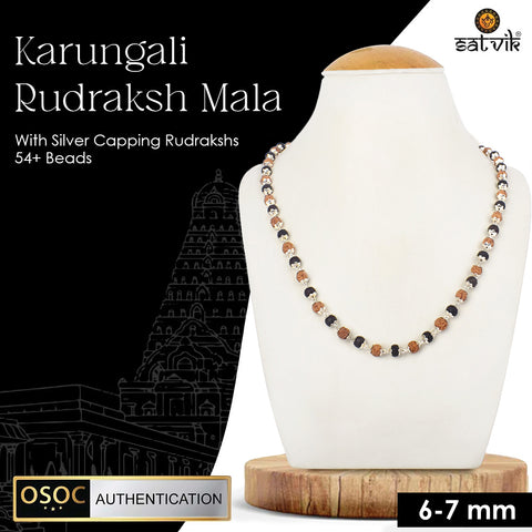 Govt. Certified Rudraksha & Karungali Mala with Silver Plating Capping for spiritual protection and healing. Indiaβs Largest Pooja Accessories Brand - www.satvikstore.in