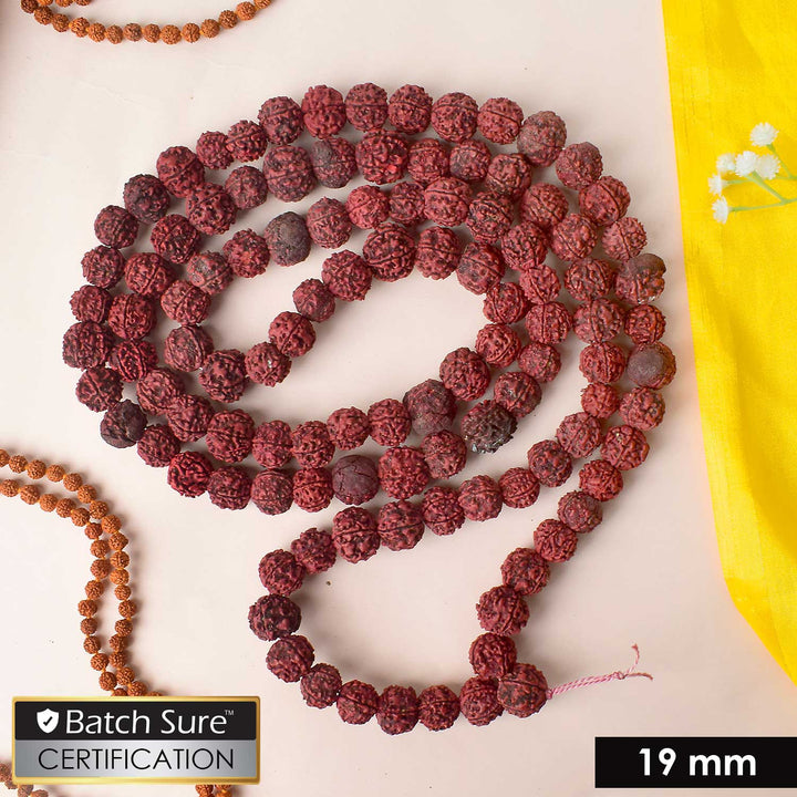 Morangi Aghori Rudraksha Mala made with rare red beads used for deep sadhana and spiritual rituals. India’s Premium Rudraksha Jap Mala Store- www.satvikstore.in
