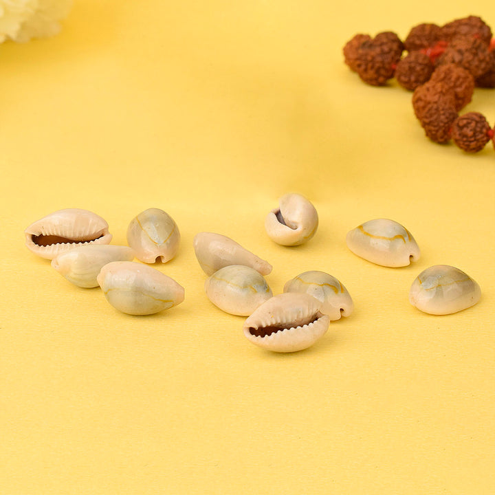 Natural Kodi for Pooja (11 Pc) β These top-quality cowrie shells are ideal for daily rituals, symbolizing wealth and protection in Hindu traditions β Indiaβs Largest Pooja Accessories Brand β www.satvikstore.in