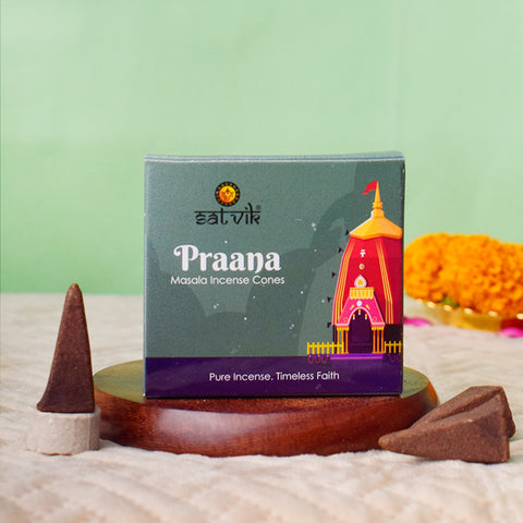 Praana Pure Masala Incense Cones β Natural Energy & Positivity Dhoop Cones for Meditation and Worship. Indiaβs Largest Pooja Accessories Brand - www.satvikstore.in