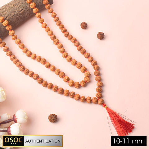 Shop 10-11mm Semi Pathriya Rudraksha Mala for daily Jaap and meditation. This authentic Rudraksha mala brings spiritual balance, positive energy, and peace. Indiaβs Premium Jap Mala Store - www.satvikstore.in