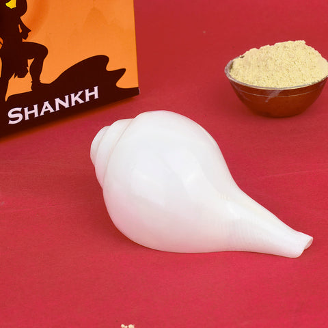 Vamavarti Shankha (Conch Shell), a natural left-turning blowing conch used in Hindu rituals and temple ceremonies to invoke divine energy and purity. 
India’s Largest Pooja Accessories Brand – www.satvikstore.in