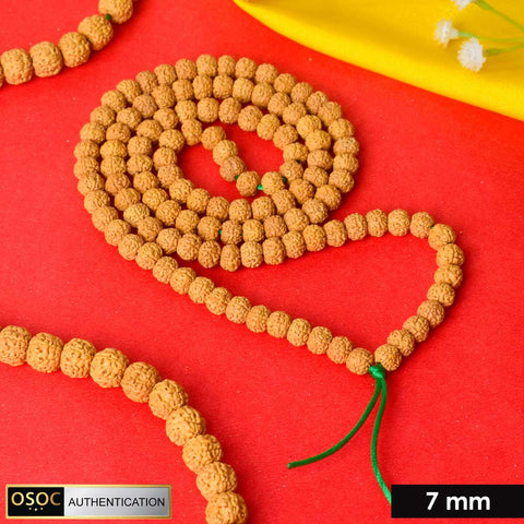 semi Pathariya Rudraksha Mala with natural brown beads for meditation and spiritual chanting. Indiaβs Premium Rudraksha Jap Mala Store- www.satvikstore.in