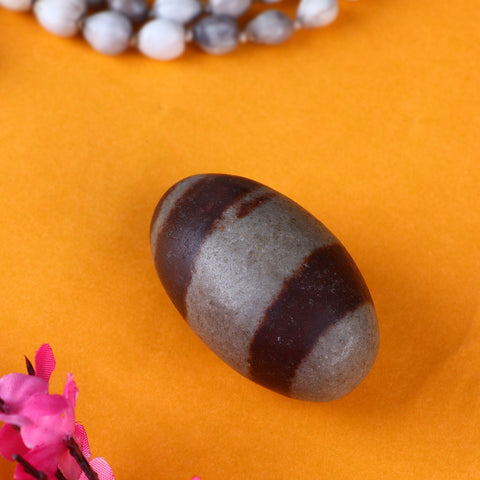 Narmadeshwar Shivling for Worship β Natural Shiva Lingam from Narmada River β Indiaβs Largest Pooja Accessories Brand β www.satvikstore.in