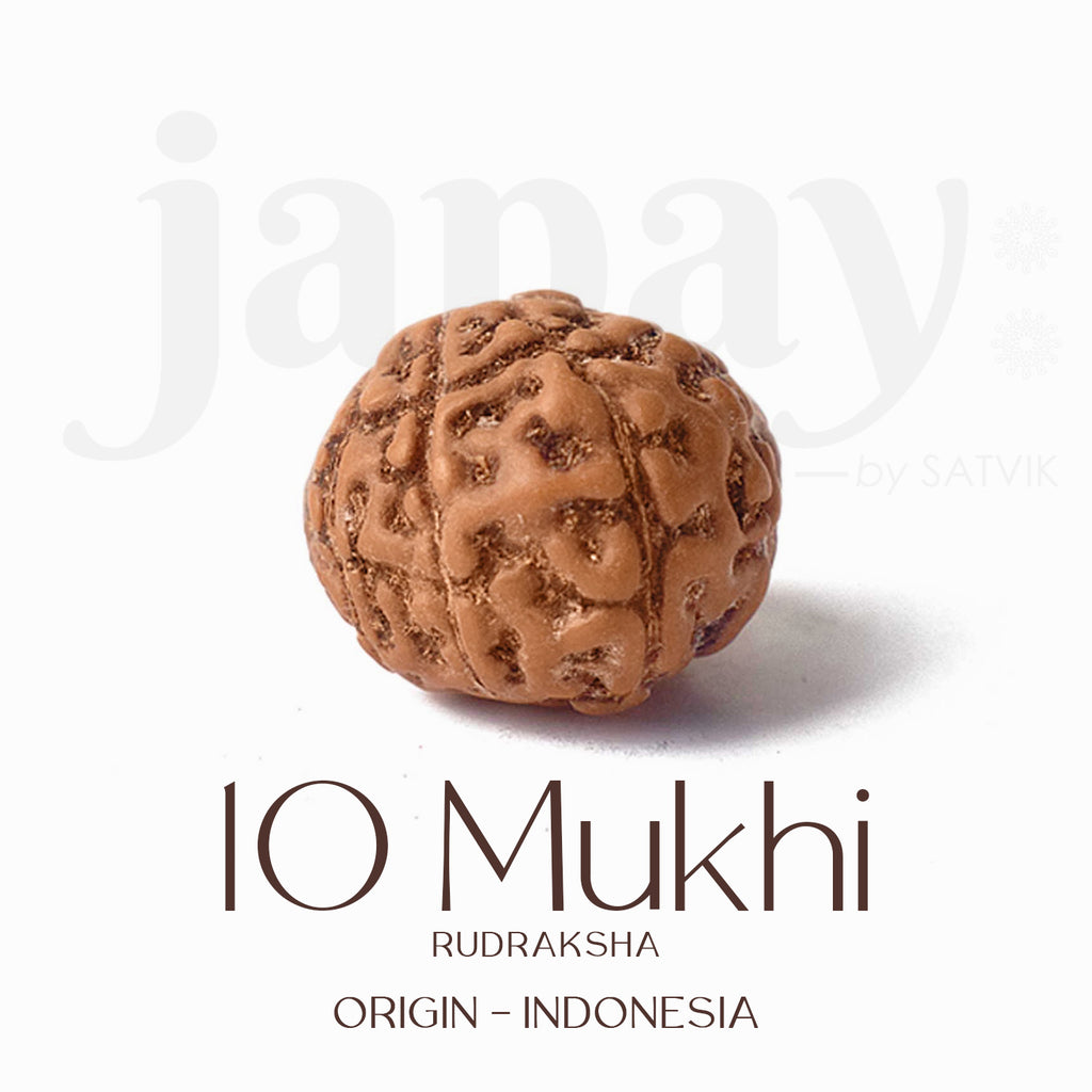 Certified 10 Mukhi brown Rudraksha bead from Indo origin placed on red cloth for spiritual protection, healing, and divine blessings. India’s Largest Pooja Accessories Brand - www.satvikstore.in


