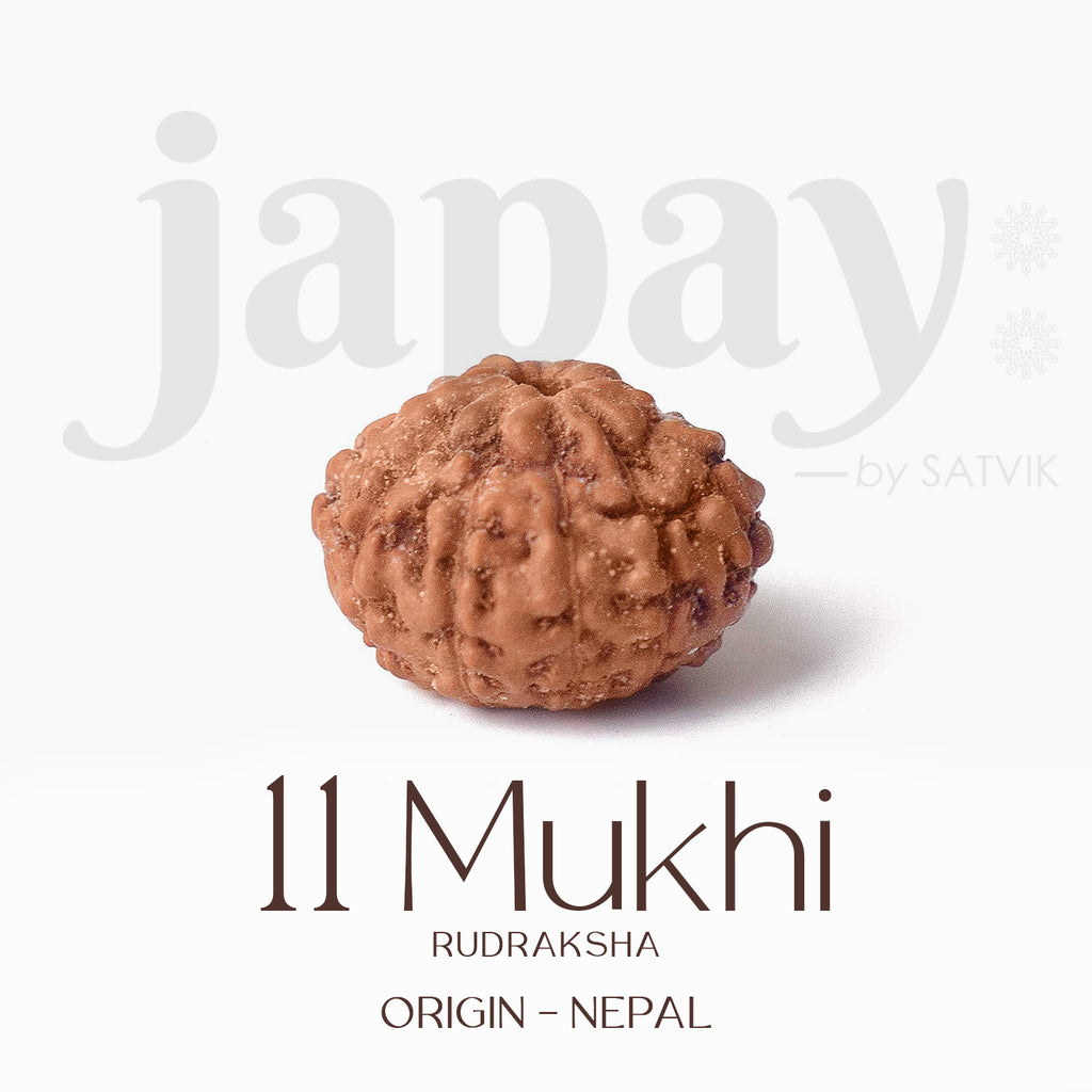 Certified 11 Mukhi brown Rudraksha bead from Indo origin placed on red cloth, symbolizing divine protection, mental clarity, and Lord Hanuman's blessings. India’s Largest Pooja Accessories Brand - www.satvikstore.in