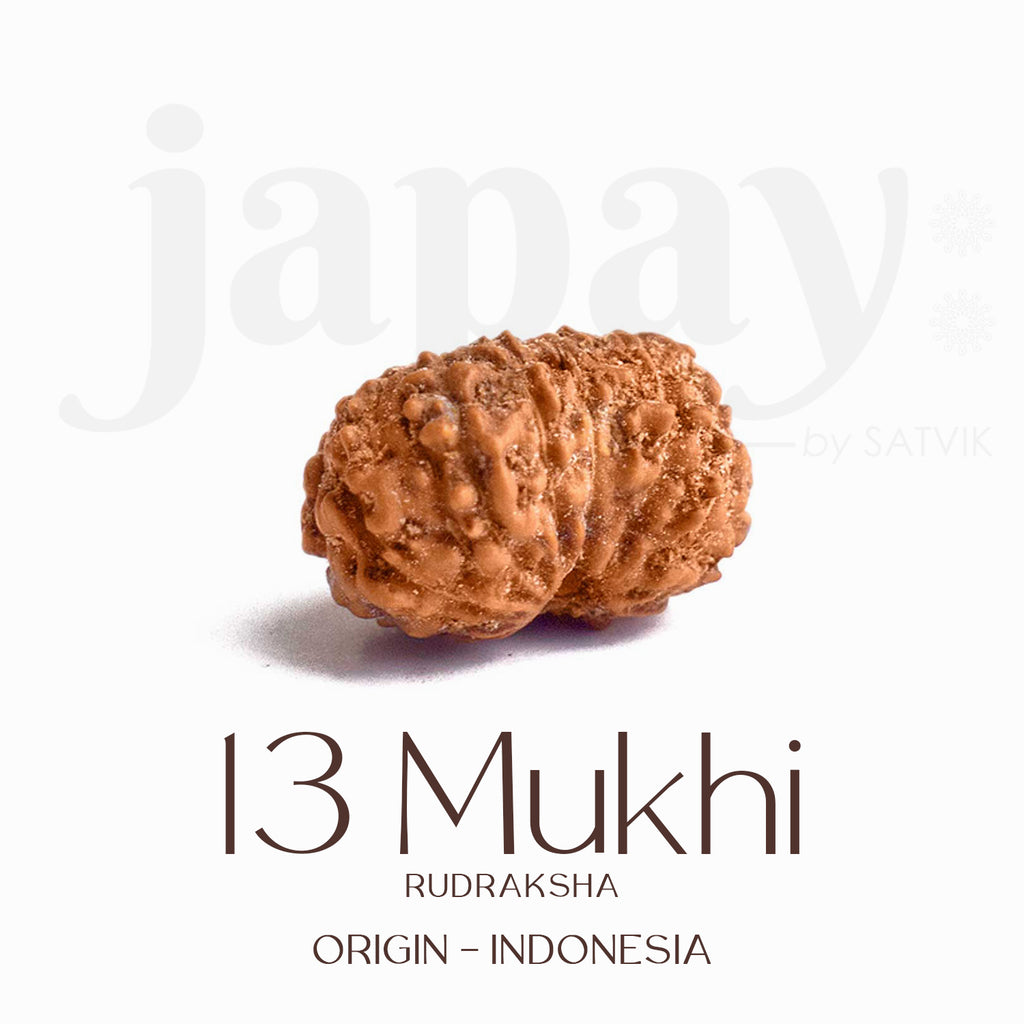 Certified 13 Mukhi Rudraksha bead in brown tone from Indo origin placed on red cloth, symbolizing charm, siddhi, and divine blessings of Venus and Kamadeva. India’s Largest Pooja Accessories Brand - www.satvikstore.in
