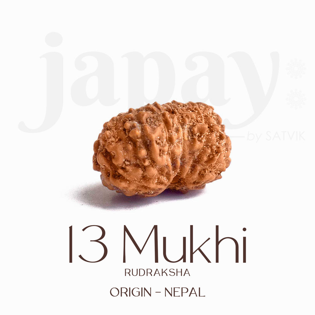 Certified 13 Mukhi Rudraksha bead in brown tone from Indo origin placed on red cloth, symbolizing charm, siddhi, and divine blessings of Venus and Kamadeva. India’s Largest Pooja Accessories Brand - www.satvikstore.in
