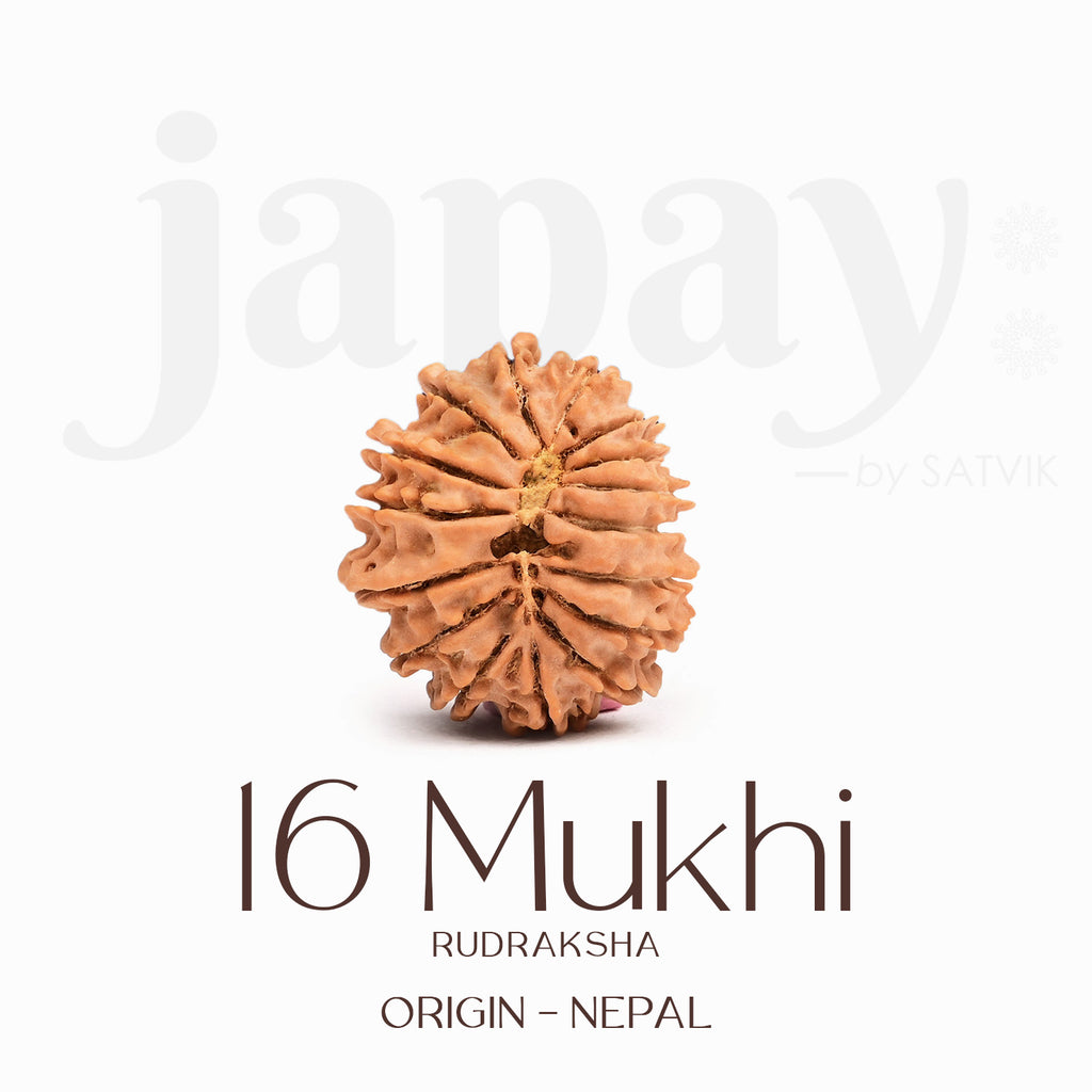 Certified 16 Mukhi Rudraksha Bead – Nepali origin spiritual bead symbolizing Lord Ram, offering powerful protection, courage, truthfulness, and relief from fear and negative forces. India’s Largest Brass Idols Brand - www.satvikstore.in
