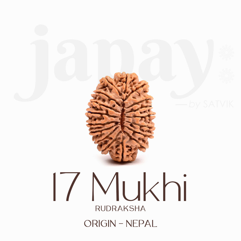 Certified 17 Mukhi Rudraksha Bead – Nepali origin sacred bead symbolizing Goddess Katyayani, known for bestowing spiritual awakening, immense wealth, success, and protection. India’s Largest Brass Idols Brand - www.satvikstore.in
