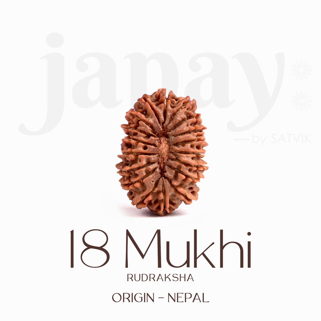 Certified 18 Mukhi Rudraksha Bead – Nepali origin sacred bead symbolizing Goddess Earth (Bhumi Devi), ideal for prosperity, stability, and protection from negative forces. India’s Largest Brass Idols Brand - www.satvikstore.in

