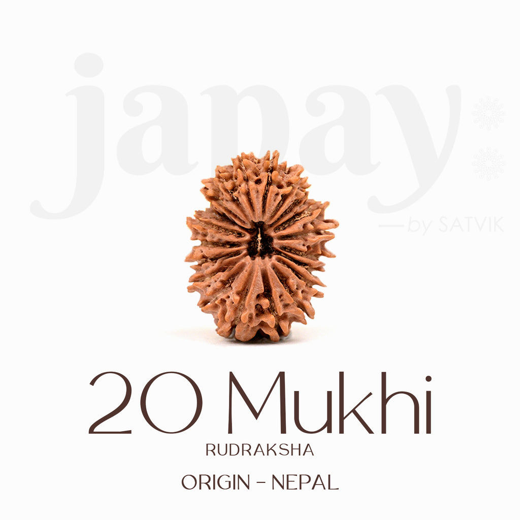 Certified 20 Mukhi Rudraksha Bead – Nepali origin sacred bead representing Lord Brahma, promotes wisdom, creativity, and higher spiritual growth. India’s Largest Brass Idols Brand - www.satvikstore.in
