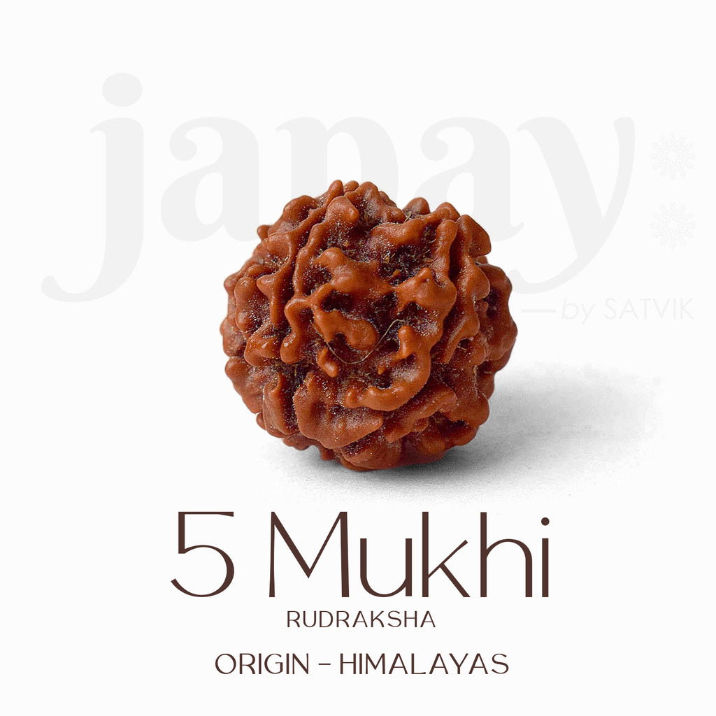 Certified 5 Mukhi Rudraksha Kantha Mala with brown natural beads, hand-strung for spiritual protection and meditation benefits. India’s Largest Pooja Accessories Brand - www.satvikstore.in
