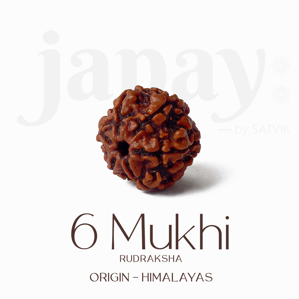 Certified 6 Mukhi brown Rudraksha bead placed on red fabric, symbolizing courage, focus, and inner discipline for spiritual and professional growth. India’s Largest Pooja Accessories Brand - www.satvikstore.in


